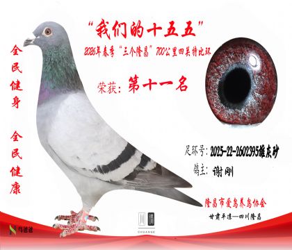 11��л��2025-22-2602395�ۻ�ɰ