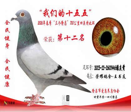 12����ҫ����-������2025-22-2602446�ۻһ�