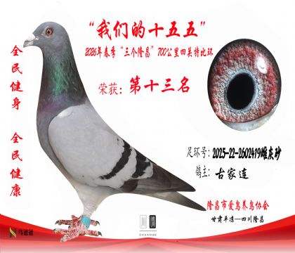 13���ż���2025-22-2602419�ƻ�ɰ