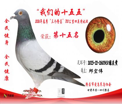 15�����ΰ2025-22-2602451�ۻһ�