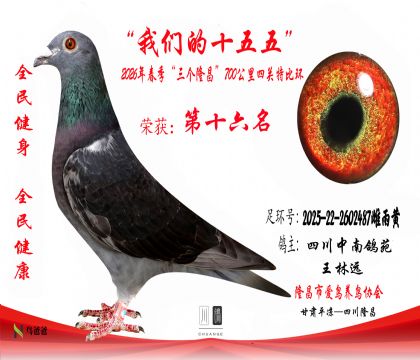 16���Ĵ����ϸ�Է-����Զ2025-22-2602487�����