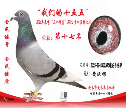 17��������2025-22-2602306�ƻҰ���ɰ