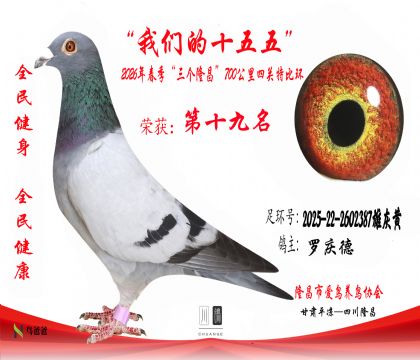 19�������2025-22-2602387�ۻһ� ����