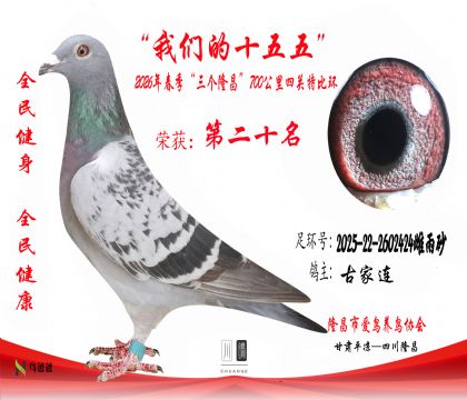 20���ż���2025-22-2602424����ɰ