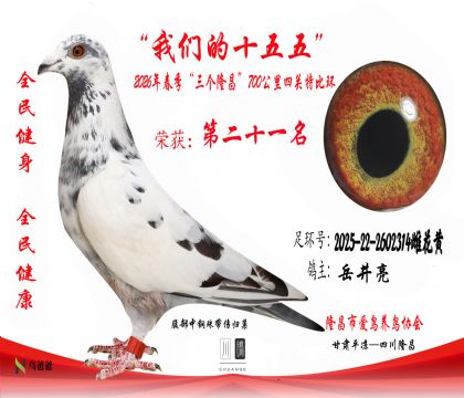 21��������2025-22-2602314�ƻ���