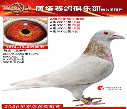 ���豭�Ĺظ���A�鼾��