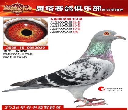 ���豭�Ĺظ���A��4��