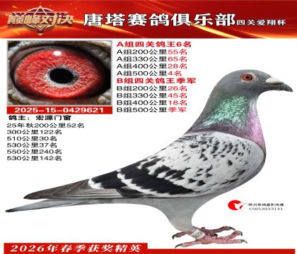 ���豭�Ĺظ���A��6��B�鼾��