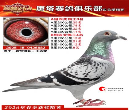 ���豭�Ĺظ���A��8��B��4��