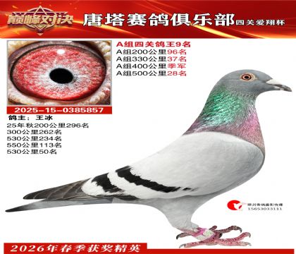 ���豭�Ĺظ���A��9��