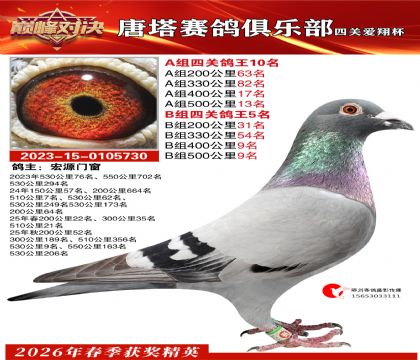 ���豭�Ĺظ���A��10��B��5��