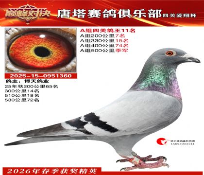 ���豭�Ĺظ���A��11��