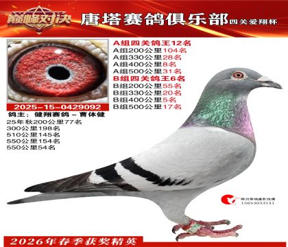 ���豭�Ĺظ���A��12��B��6��