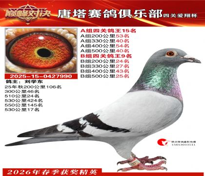 ���豭�Ĺظ���A��15��B��9��