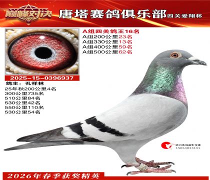 ���豭�Ĺظ���A��16��