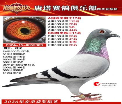 ���豭�Ĺظ���A��17��B��11��