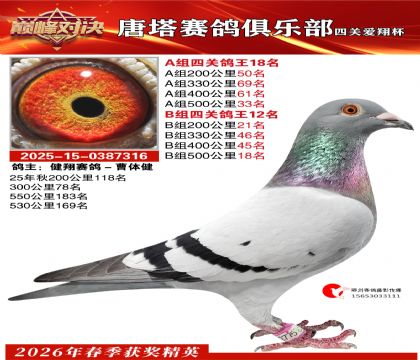 ���豭�Ĺظ���A��18��B��12��