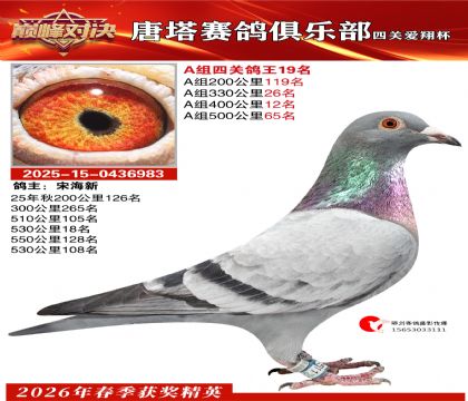 ���豭�Ĺظ���A��19��