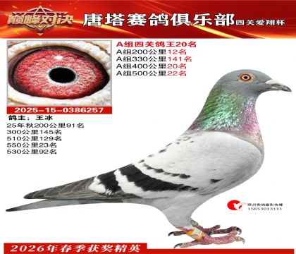 ���豭�Ĺظ���A��20��