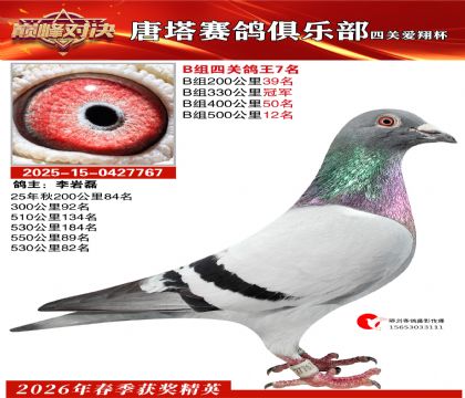 ���豭�Ĺظ���B��7��