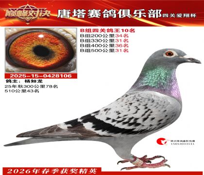 ���豭�Ĺظ���B��10��