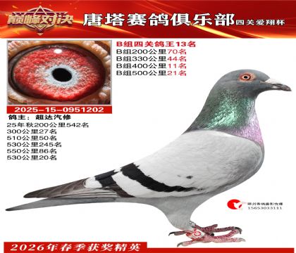 ���豭�Ĺظ���B��13��