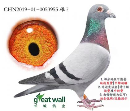 ���Ǹ�ҵԭ���ָ�