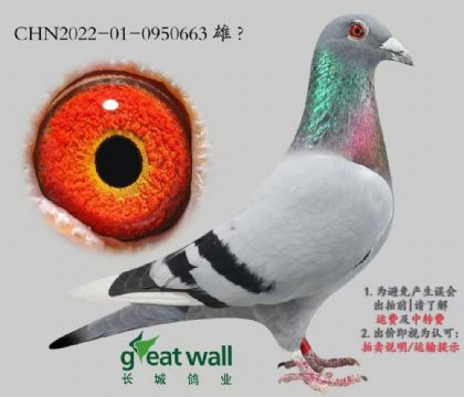 ���Ǹ�ҵԭ���ָ�