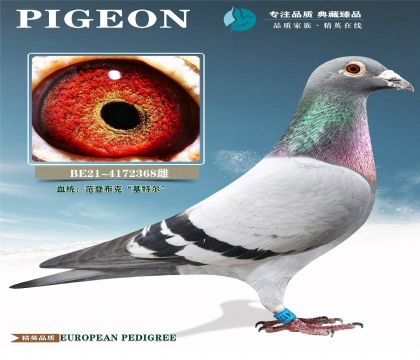 ���ض�Ѫϵԭ���ָ�