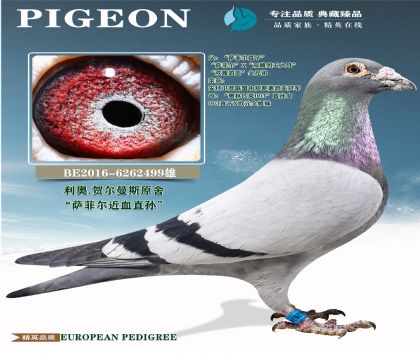 ����ԭ��.���ƶ�ֱ��