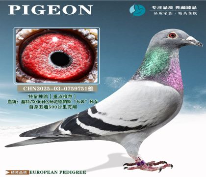 �й�KBDB��������500�������辫ѡ