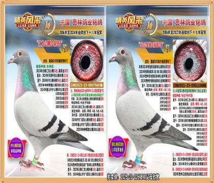 ��ɽ��������ھ�ȫ�ܣ��������ܹ��������룩