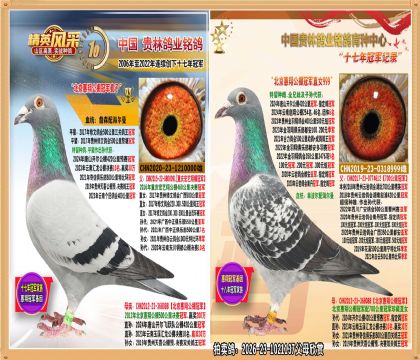 �������蹫��ھ�ֱ������蹫��ھ�ֱŮ����.ƽ�����Ǽ�������