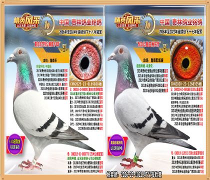 ��������蹫��ھ�ֱ����500�����Ǿ����ֱŮ