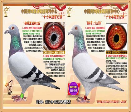 ���־��ܽ�ͷֱ���䴫�������Ů����.ƽ������Ǿ�����