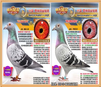 500����ھ�.�Ǿ�ȫ����