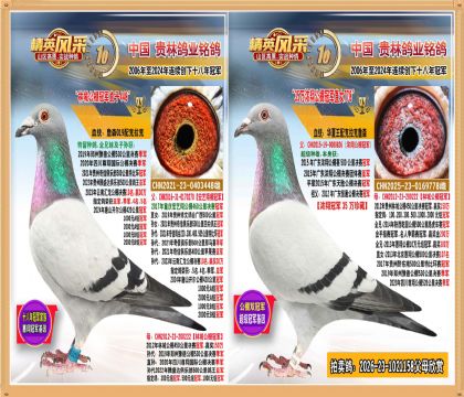 150���ֳǹ���ھ�ֱ����ֱŮ����.ƽ���������Ǿ�����