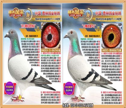 ��ɽ������������ھ�ȫ���俪����������ھ�ֱŮ�����ָ�