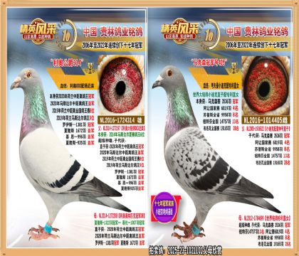 �����о�������ھ���С�Ͽ���.˫�ھ����ֱ��