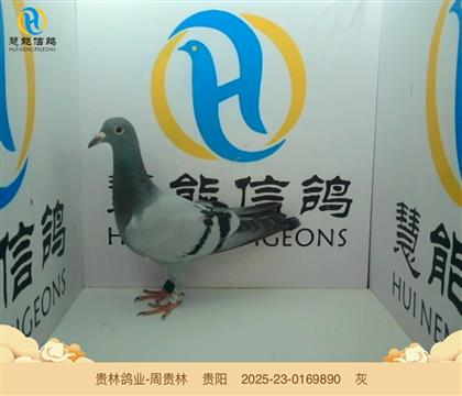 �������ܹ��������