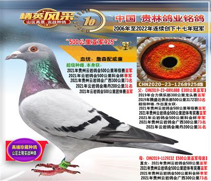 ĸ��500�����Ǿ�