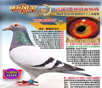 ��ĸ�����ݹ���ھ�