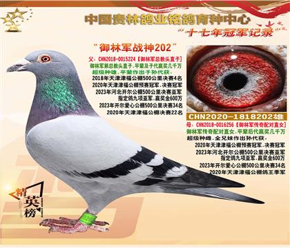 �������־��ܽ�ͷֱ��