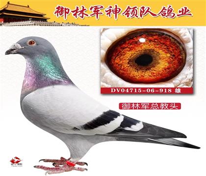 �游�����־��ܽ�ͷ