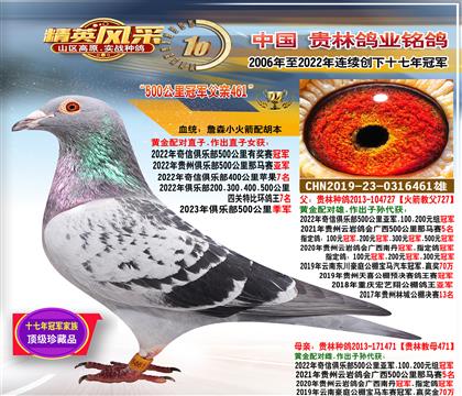 ����500����ھ�����