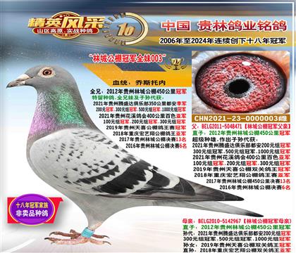 ĸ���ֳǹ���ھ�ȫ��