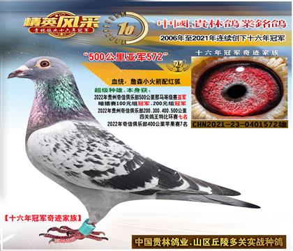 ȫ�֣�500����ھ�