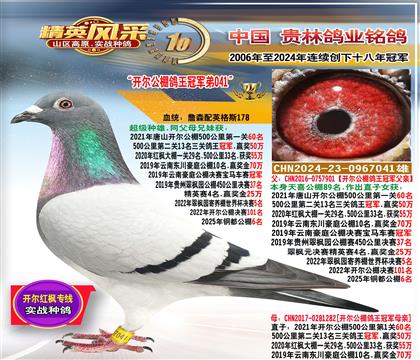 ����������������ھ�ȫ��