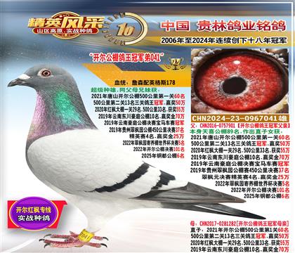 ����������������ھ�ȫ��