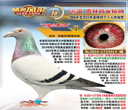 ���������о�������ھ�